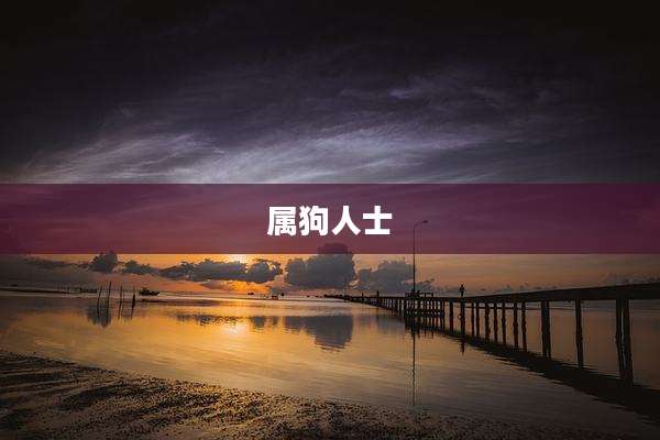 属狗人士