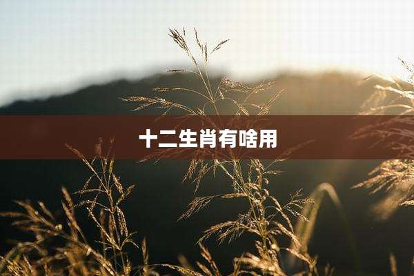 十二生肖有啥用