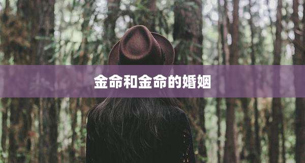 金命和金命的婚姻