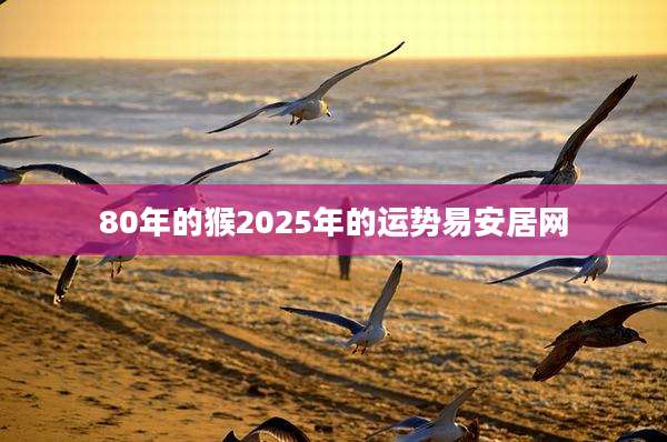 80年的猴2025年的运势易安居网
