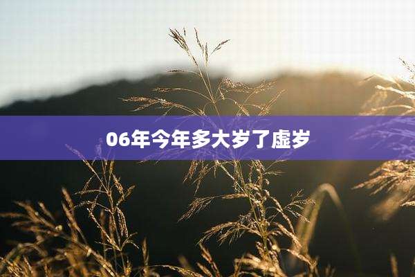 06年今年多大岁了虚岁