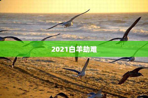 2021白羊劫难