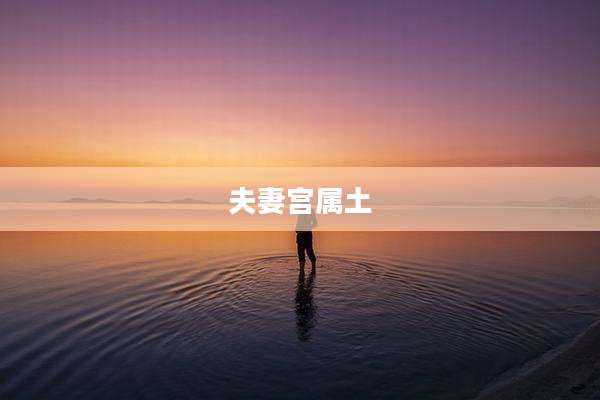 夫妻宫属土