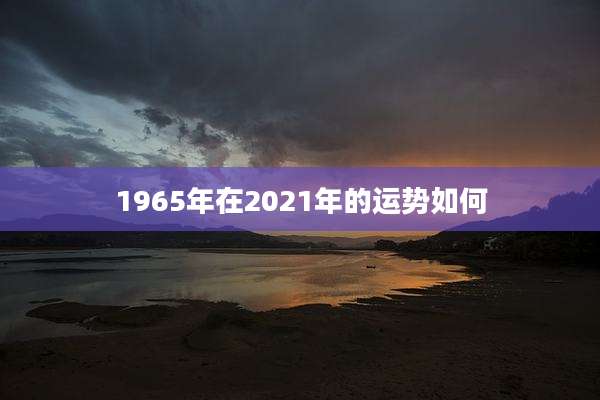 1965年在2021年的运势如何