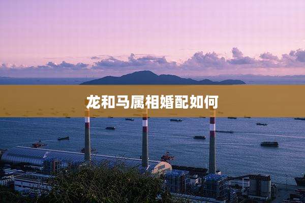 龙和马属相婚配如何