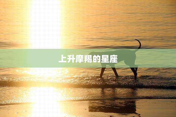 上升摩羯的星座