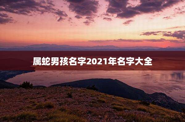 属蛇男孩名字2021年名字大全