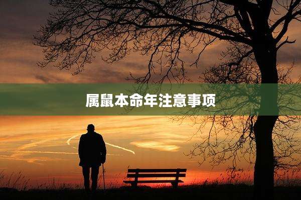 属鼠本命年注意事项