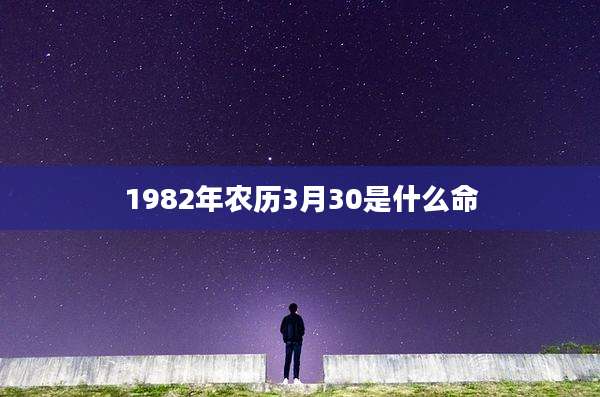1982年农历3月30是什么命