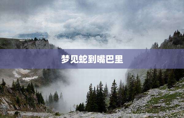 梦见蛇到嘴巴里