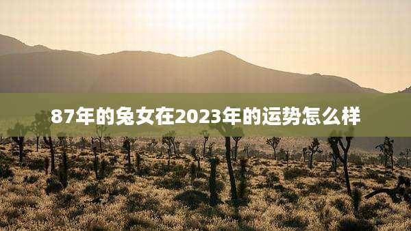 87年的兔女在2023年的运势怎么样
