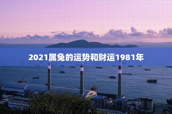 2021属兔的运势和财运1981年