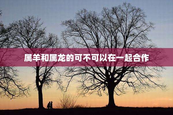 属羊和属龙的可不可以在一起合作