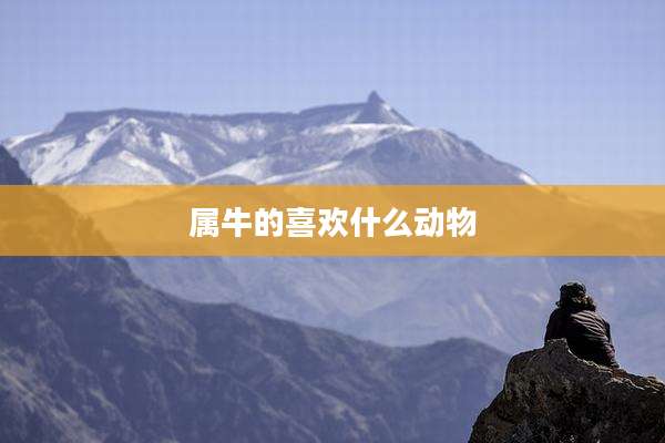属牛的喜欢什么动物