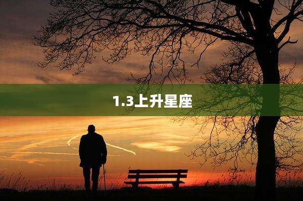 1.3上升星座