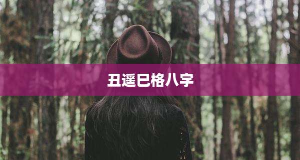 丑遥巳格八字