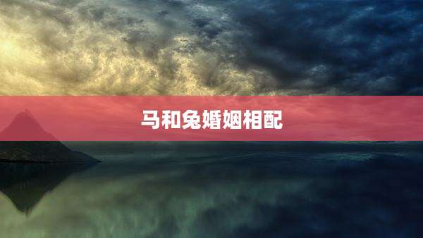 马和兔婚姻相配