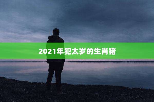 2021年犯太岁的生肖猪