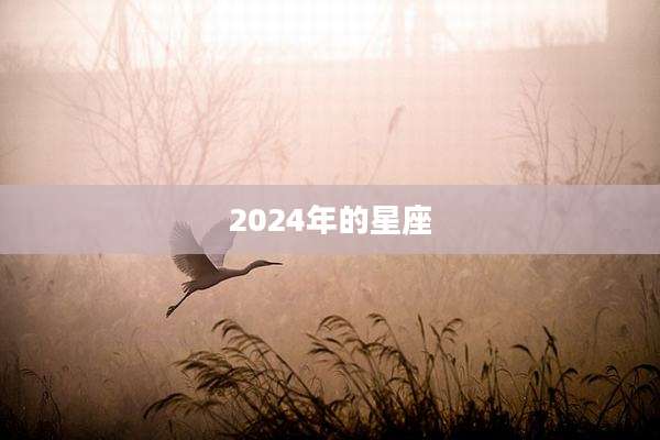 2024年的星座