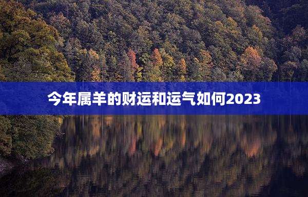 今年属羊的财运和运气如何2023