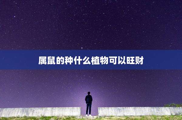 属鼠的种什么植物可以旺财