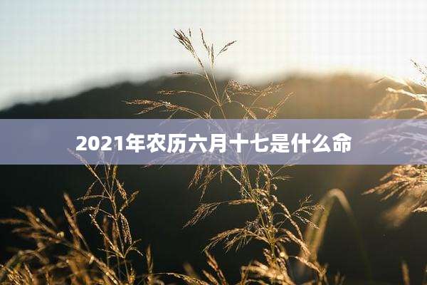 2021年农历六月十七是什么命