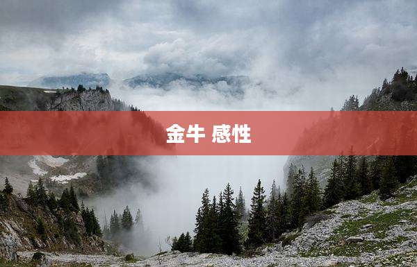 金牛 感性