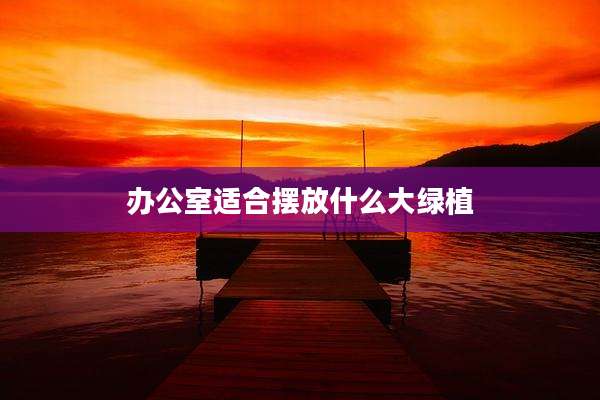 办公室适合摆放什么大绿植
