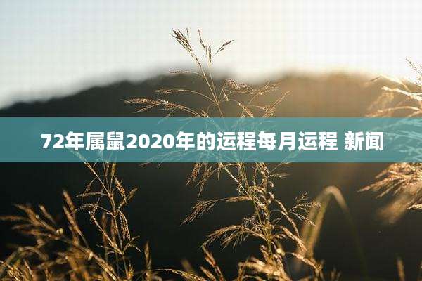 72年属鼠2020年的运程每月运程 新闻
