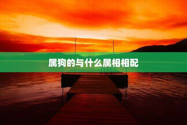 属狗的与什么属相相配
