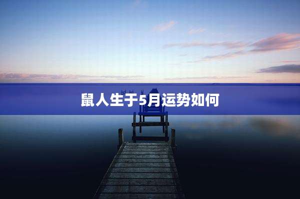 鼠人生于5月运势如何