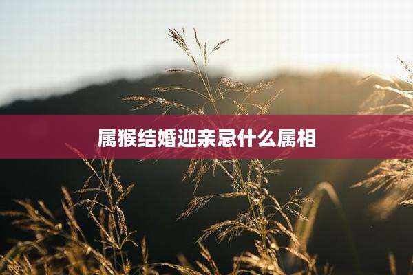 属猴结婚迎亲忌什么属相