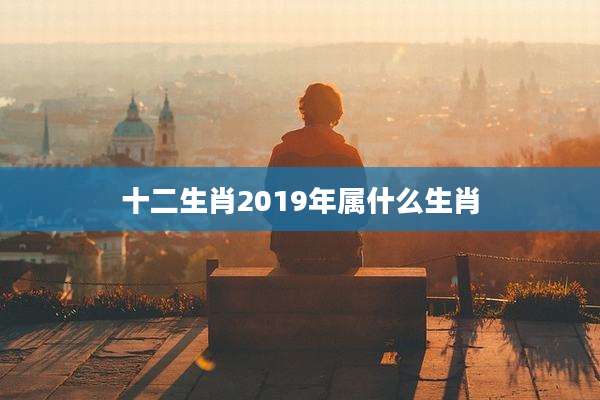 十二生肖2019年属什么生肖