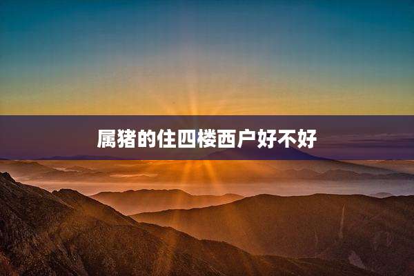 属猪的住四楼西户好不好