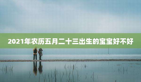 2021年农历五月二十三出生的宝宝好不好