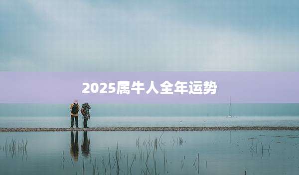 2025属牛人全年运势
