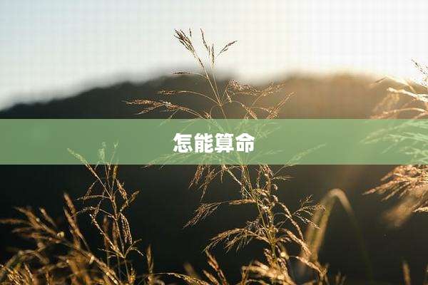 怎能算命