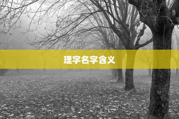 理字名字含义