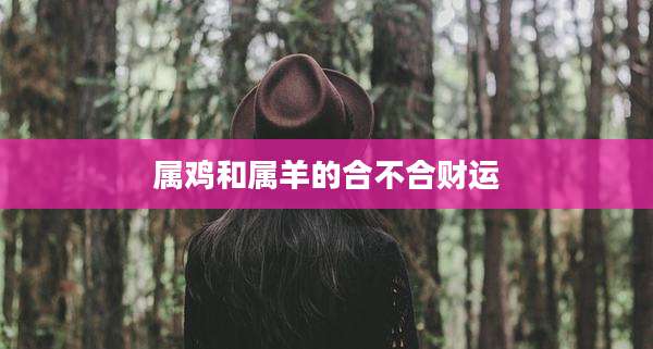 属鸡和属羊的合不合财运