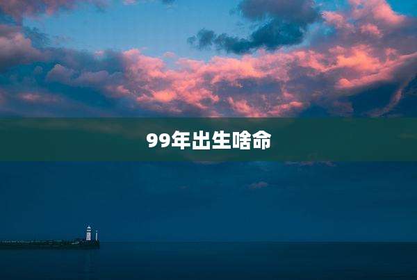 99年出生啥命