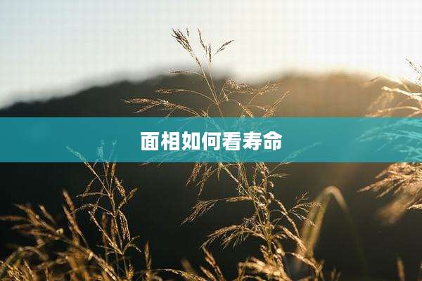面相如何看寿命