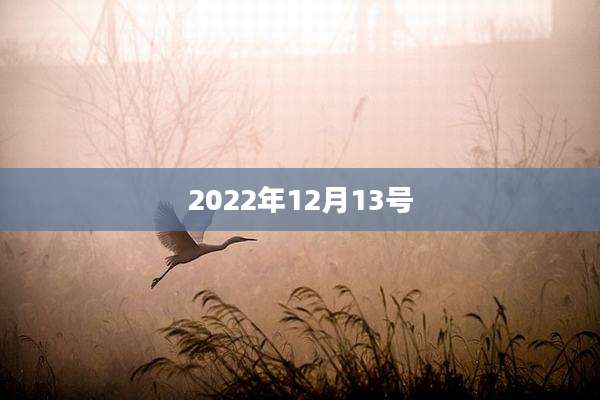 2022年12月13号