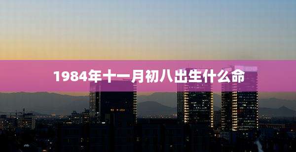 1984年十一月初八出生什么命