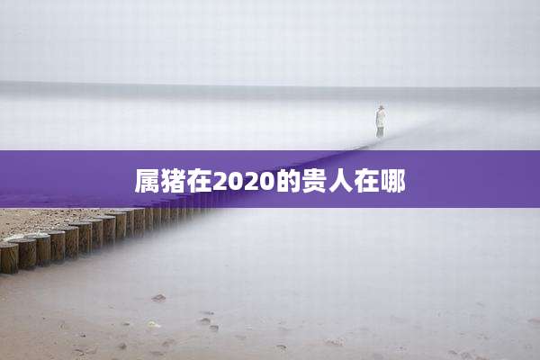 属猪在2020的贵人在哪