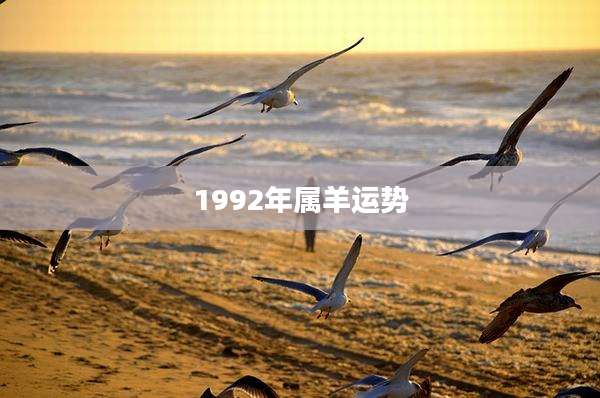 1992年属羊运势