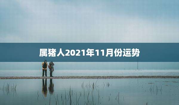 属猪人2021年11月份运势