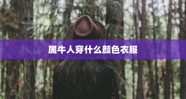 属牛人穿什么颜色衣服