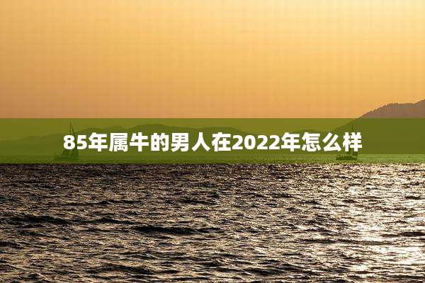 85年属牛的男人在2022年怎么样