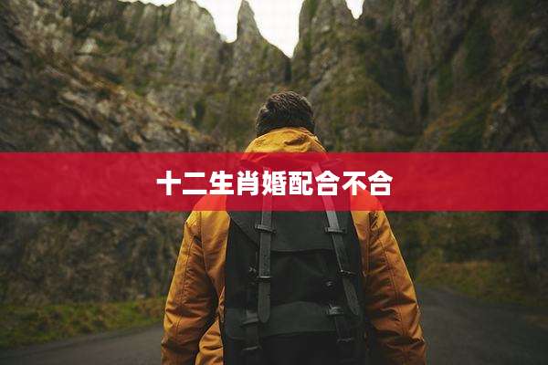 十二生肖婚配合不合