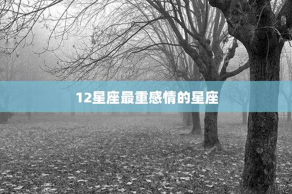 12星座最重感情的星座